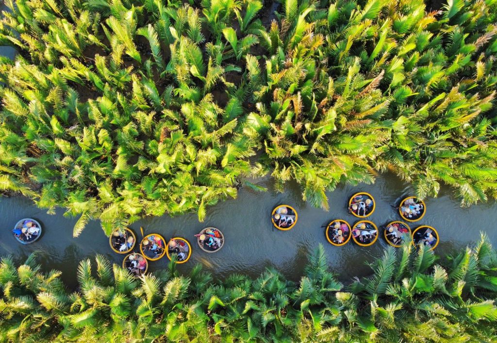 Bay Mau Coconut Forest